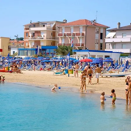 Gabbiano Civitanova Marche