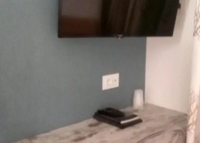 Gabbiano Civitanova Marche