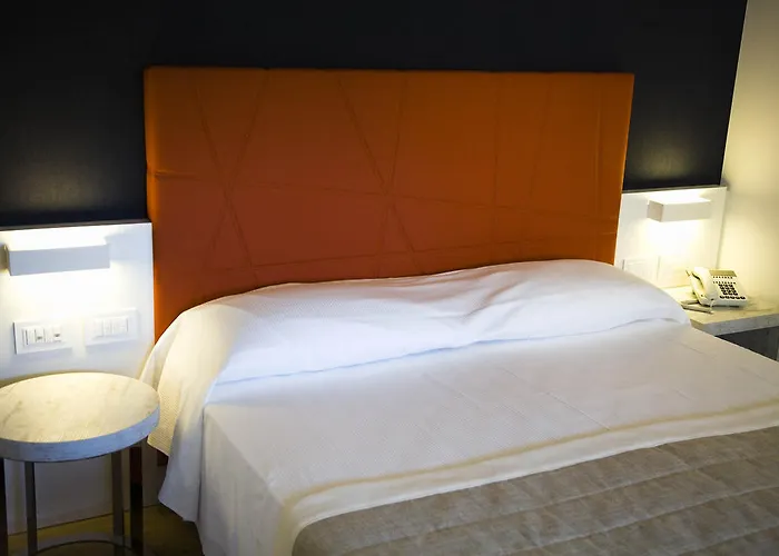 Gabbiano Civitanova Marche