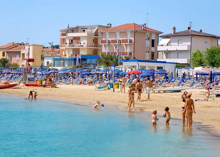Gabbiano Civitanova Marche