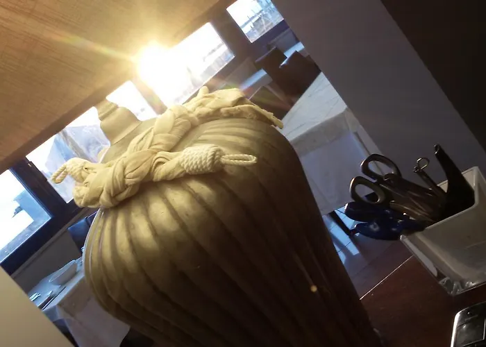 Gabbiano Civitanova Marche