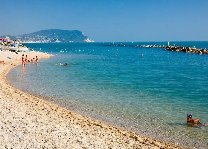 Gabbiano Civitanova Marche