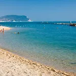 Gabbiano Civitanova Marche