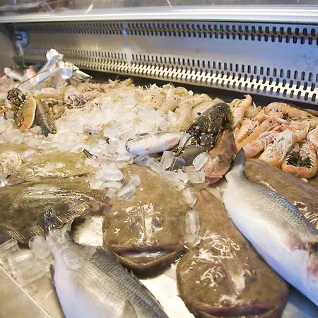 Gabbiano Civitanova Marche