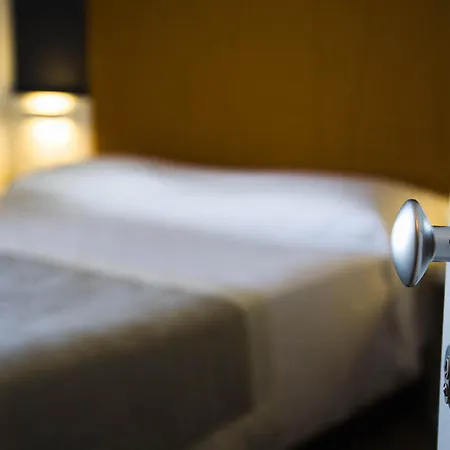 Gabbiano Civitanova Marche