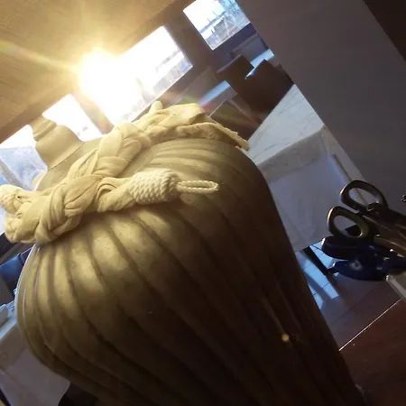 Gabbiano Civitanova Marche