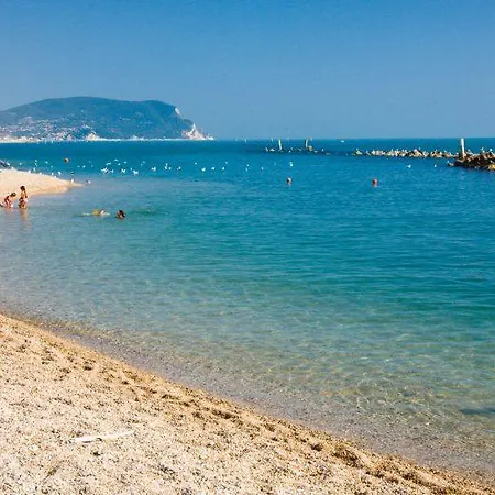 Gabbiano Civitanova Marche