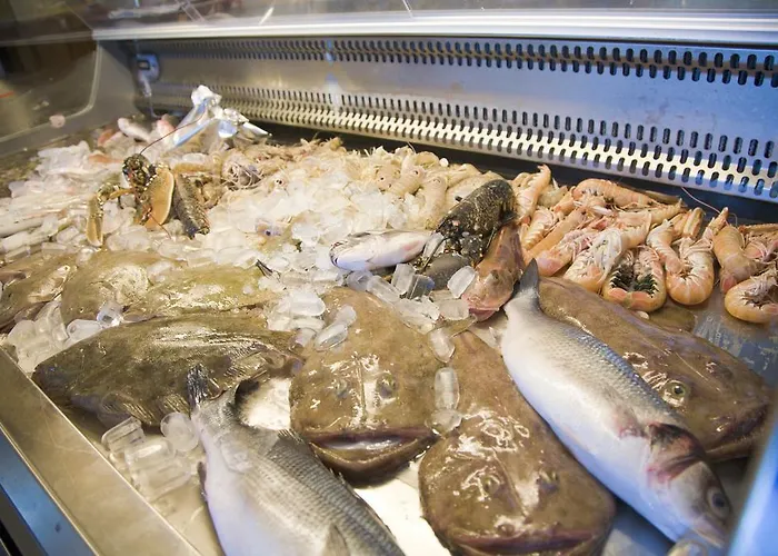 Gabbiano 시비타노바 마르셰